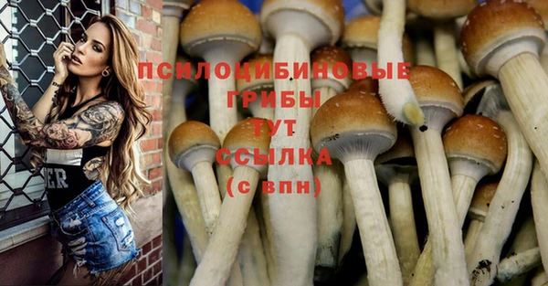 a pvp Балабаново