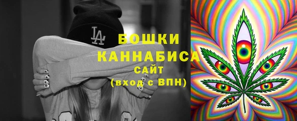 кокс Белокуриха