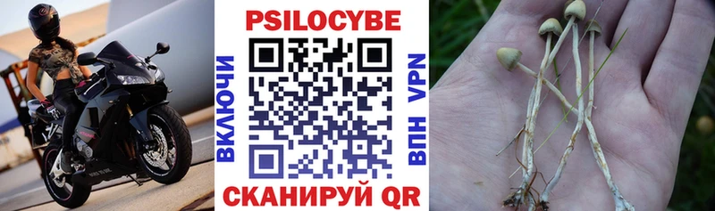 гидра как зайти  Краснокаменск  Галлюциногенные грибы MAGIC MUSHROOMS  как найти закладки 